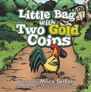 Cover of the book Little Bag with Two Gold Coins by Denny Dormody