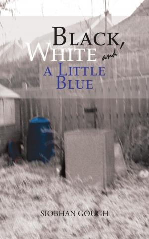 Cover of the book Black, White and a Little Blue by Leonie Phoenix