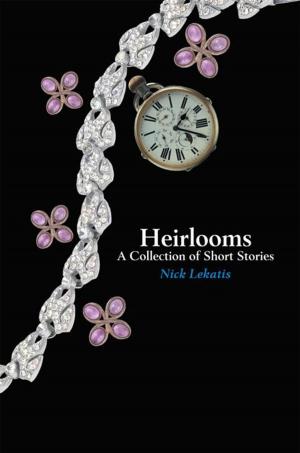 Cover of the book Heirlooms by David W. Holman