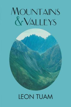 Book cover of Mountains and Valleys