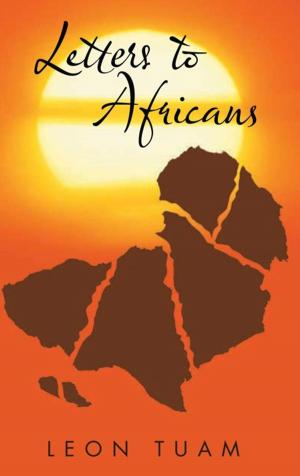 Cover of the book Letters to Africans by Shoghig O. Fodoulian