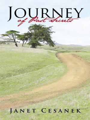Book cover of Journey of Past Secrets