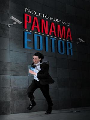 Cover of the book Panama Editor by J J Garrett