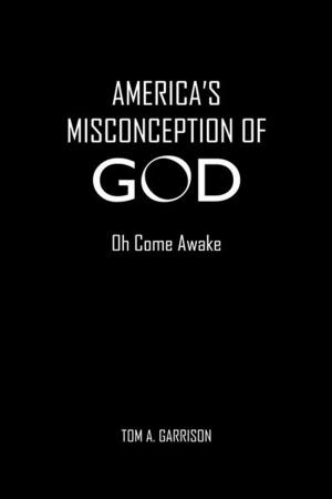 Cover of the book America's Misconception of God by Peter Tonsoline