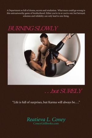 Cover of the book Burning Slowly, but Surely… by Jennifer Martinez