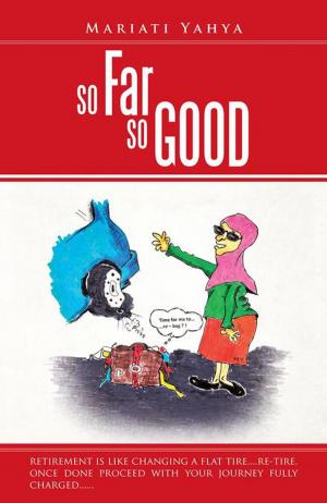 Cover of the book So Far so Good by Margit Mikk-Sokk