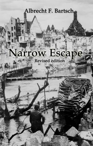 Book cover of Narrow Escape