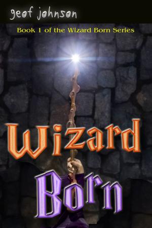 Cover of the book Wizard Born by Nita Martin