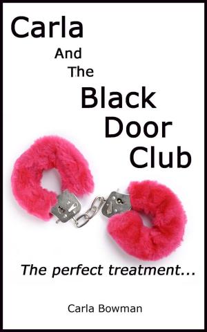 Book cover of Carla And The Black Door Club