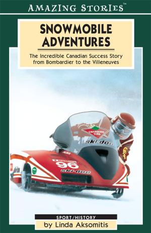 Book cover of Snowmobile Adventures