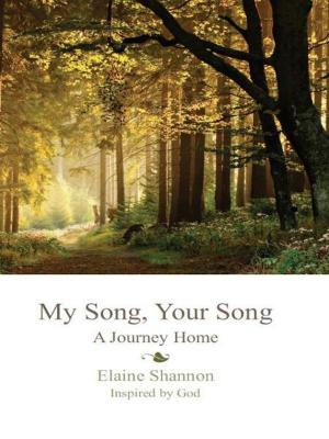 Cover of the book My Song, Your Song: A Journey Home by Pieter Steyn