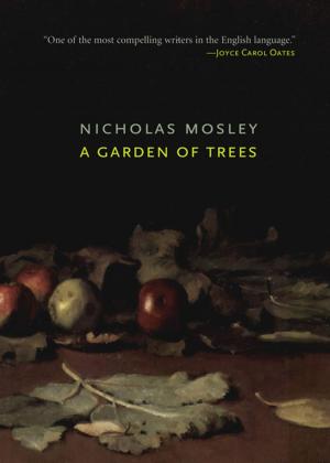 Cover of the book A Garden of Trees by Desmond Hogan