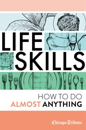 Cover of the book Life Skills by Maxine Clair