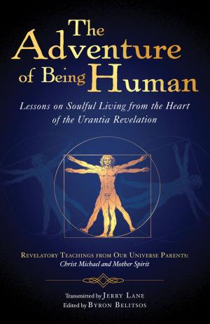 Cover of the book The Adventure of Being Human I by Anne Givaudan, Daniel Meurois