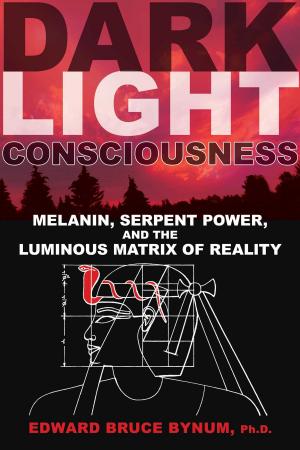 Book cover of Dark Light Consciousness