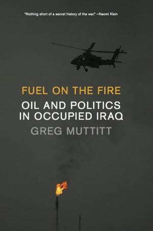 Cover of the book Fuel on the Fire by Damon Krukowski