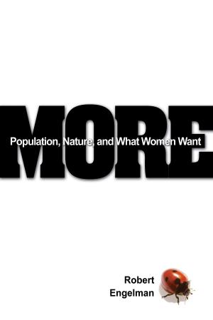 Book cover of More