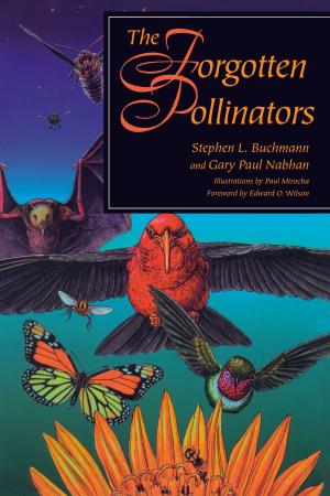 Book cover of The Forgotten Pollinators