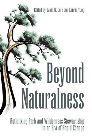 Cover of the book Beyond Naturalness by Randy Olson