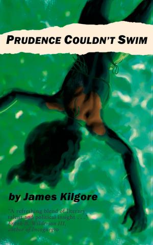 Cover of the book Prudence Couldn't Swim by 