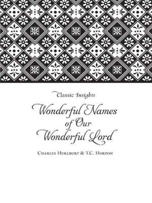 Cover of the book The Wonderful Names of Our Wonderful Lord by Norma Jean Lutz