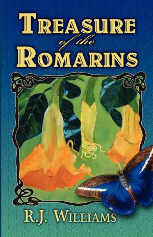 bigCover of the book Treasure of the Romarins by 