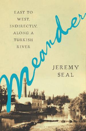 Cover of the book Meander by Martyn Bennett