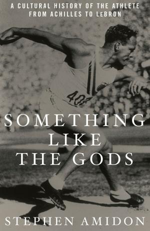 Book cover of Something Like the Gods