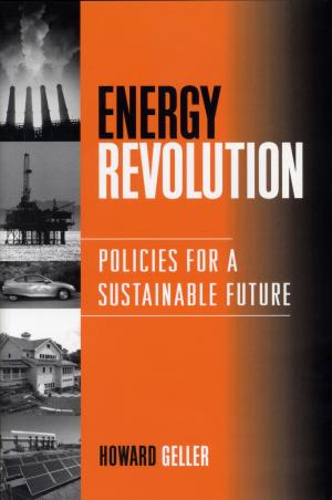 bigCover of the book Energy Revolution by 