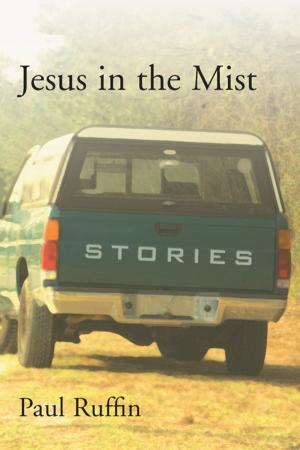 Cover of the book Jesus in the Mist by Joseph Bathanti