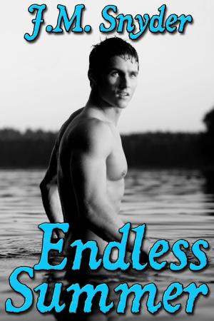 Cover of the book Endless Summer by J.M. Snyder