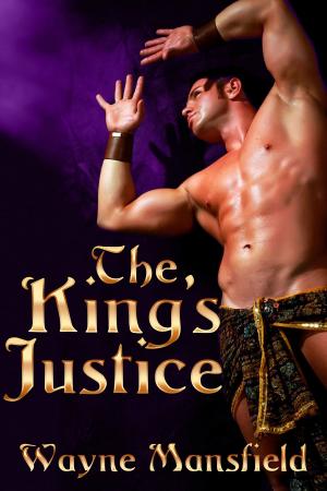 Cover of the book The King's Justice by Joseph R.G. DeMarco