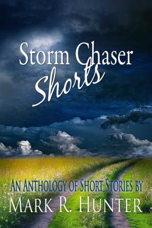 Book cover of Storm Chaser Shorts