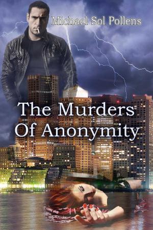 Cover of the book The Murders of Anonymity by Valerie Goldsilk