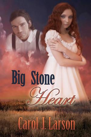 Cover of the book Big Stone Heart by Caroline Misner