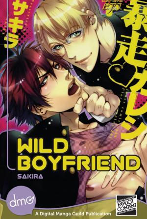 Cover of Wild Boyfriend
