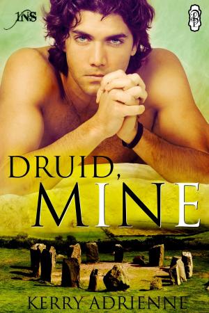 Book cover of Druid, Mine