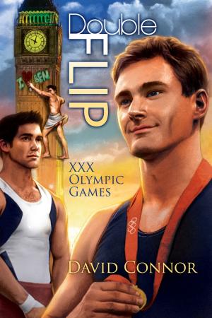 Cover of the book Double Flip by Mary Calmes