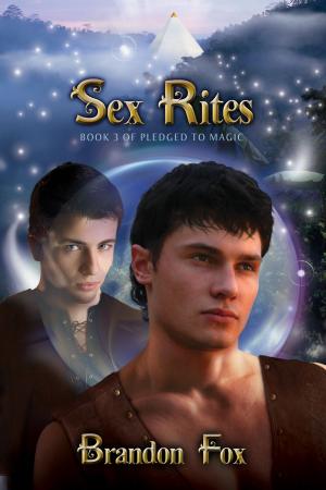 Cover of the book Sex Rites by Erik Orrantia