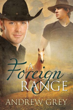 Cover of the book A Foreign Range by Ari Bach
