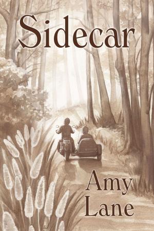 Cover of the book Sidecar by Allison Cassatta