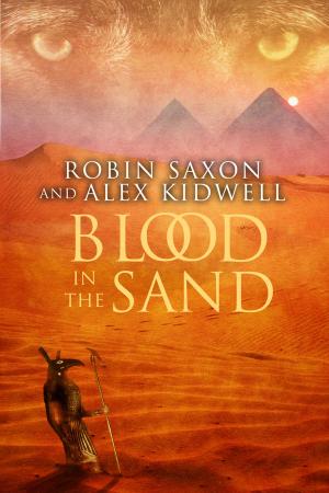 Cover of the book Blood in the Sand by Midnight Fuchsia