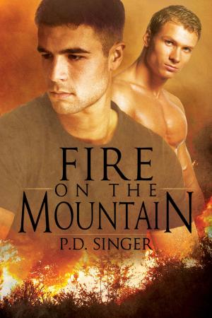 Cover of the book Fire on the Mountain by Clare London
