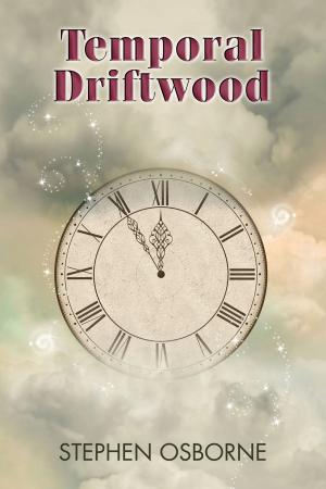 Cover of the book Temporal Driftwood by TJ Klune
