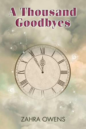 Cover of the book A Thousand Goodbyes by Alyssa Hubbard