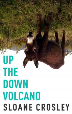 Cover of Up the Down Volcano