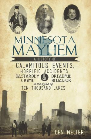 Cover of the book Minnesota Mayhem by Michael W.R. Davis