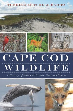 Book cover of Cape Cod Wildlife
