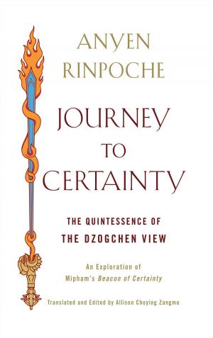Cover of the book Journey to Certainty by Kathleen McDonald