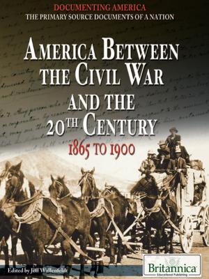 Book cover of America Between the Civil War and the 20th Century